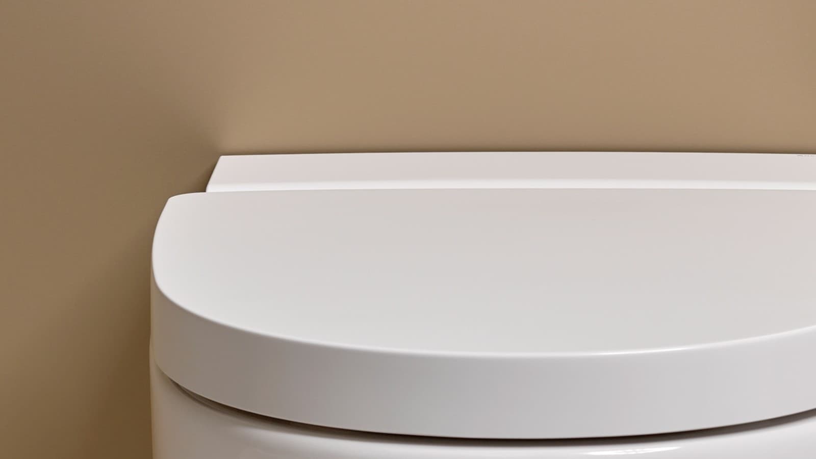 Mera 正视图 Mera 正视图