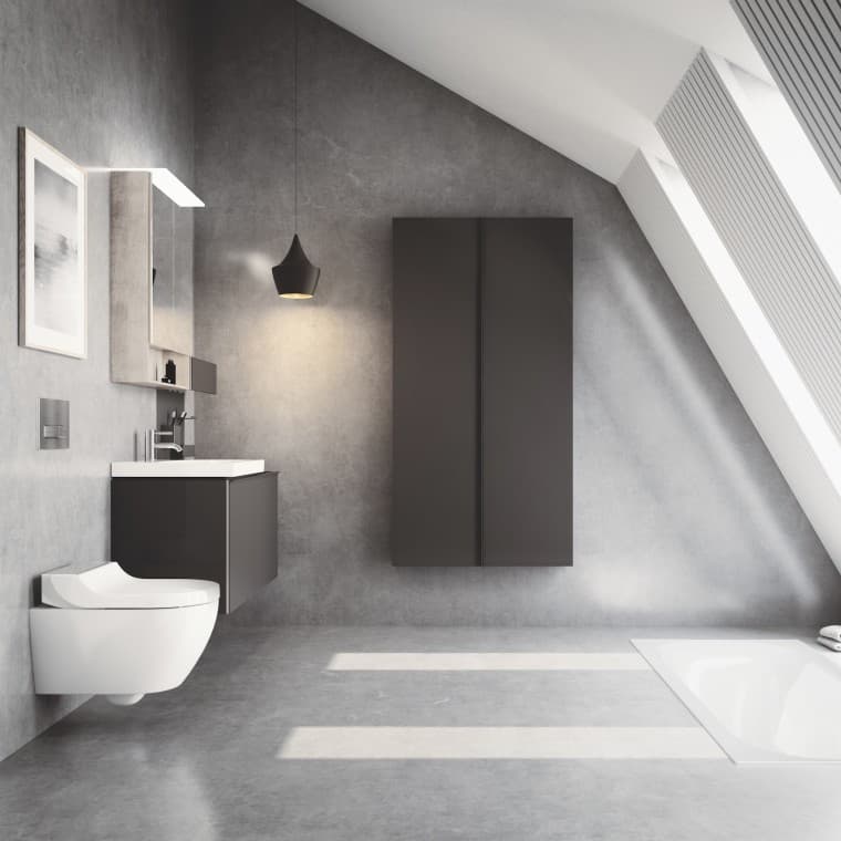 带不锈钢拉丝盖罩的 Geberit AquaClean Tuma 冲洗式座便器 带不锈钢拉丝盖罩的 Geberit AquaClean Tuma 冲洗式座便器